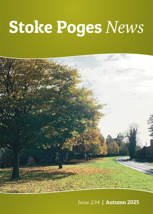 Cover image for Stoke Poges News, Autumn 2025, showing autumnal trees